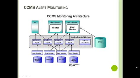 sngdc.ccms|myTP .
